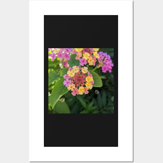 multicolored tiny flower cluster photographic image Wall Art by AustaArt